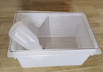 大白鼠实验笼 饲养繁殖笼 M4大鼠饲养笼  饲养盒 实验室用