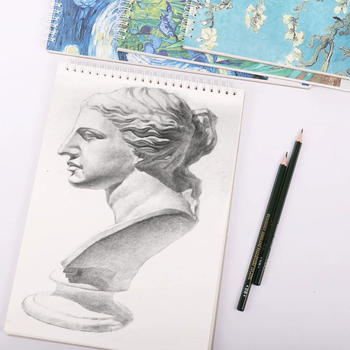 Бронзовая жесткая лапша книга A3/A4 Литературная и свежее профессиональное искусство живопись. Эта катушка установлена ​​Студент Эскиз Эскиз Короткий письменный книж