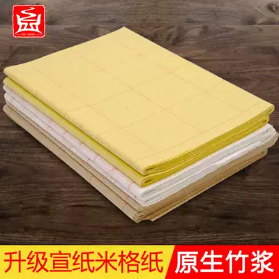 Ancient Ding Xuan paper wholesale 46 sheets of four feet four open MiG Cai Lun paper thickened Yuan book paper antique semi-cooked paper for the first time to learn calligraphy practice brush paper