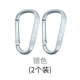 D Buckle Silver 2