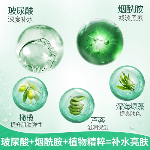 真丽斯 Увлажняющая нежная эссенция, увлажняющий восстанавливающий крем против сухости, 55г