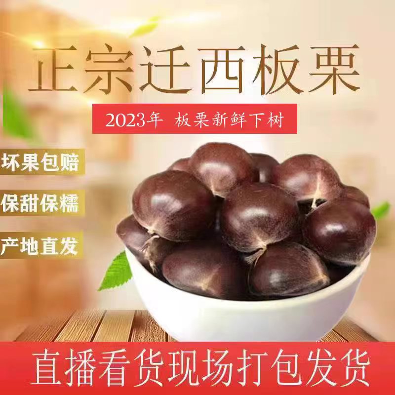 Relocation to the West Chestnut Chestnut Chestnut 2023 Fresh chestnuts Zunzzed Ganchestnut Hebei Ter-producing chestnut 3 catties 5 kilos-Taobao