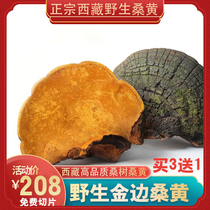 Mulberry yellow wild premium 500g Ganoderma lucidum The effect of natural wild authentic mulberry mulberry yellow in Tibet Autonomous Region