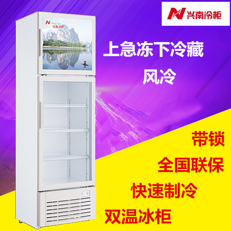 Dax Xingnan Vertical Display Freezer Upper and Lower Doors Double Temperature Cabinet Frozen Refrigeration Freezer with Lock LDG298 348