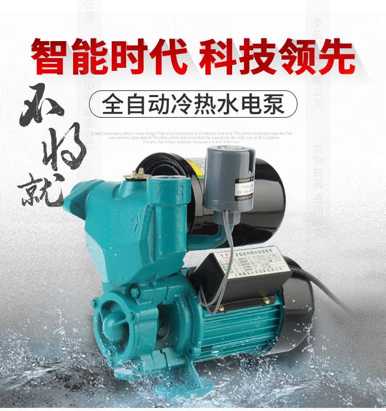 9 Self -Suction pump_01