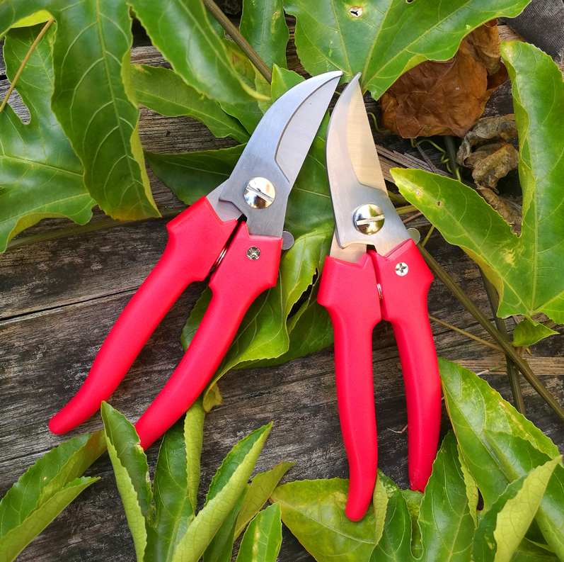 Stainless steel gardening scissors fruit picking pruning gadget pruning pruning branch cutting flower branch picking tomato eggplant thick branch shears