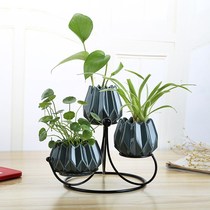 Nordic Feng Shui cultivation vase decoration Ceramic flower pot creative home decoration Wine cabinet TV cabinet decoration Wrought iron