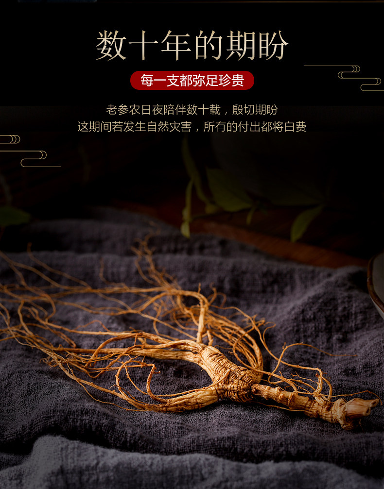 Wildshan Ginseng_03.jpg