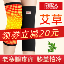 Antarctic Wormwood knee cover cover warm old cold leg hot compress male and female Joint self-heating autumn and winter special thickening