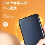 Пять -летний магазин 12 цветов цвета Антарктика, нагревающие физиотерапевтические полыни