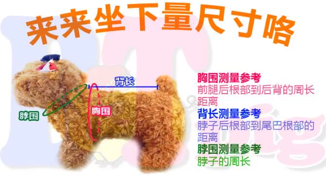Pet chó quần áo len mùa thu và mùa đông dày hai chân quần áo chiến đấu hơn gấu Teddy áo len với mũ trùm đầu mặc giản dị - Quần áo & phụ kiện thú cưng quần áo cho chó mèo