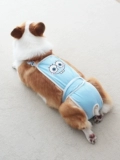 Собачья физиологические штаны мать Corgi Dou Dou Dou Dog Dog