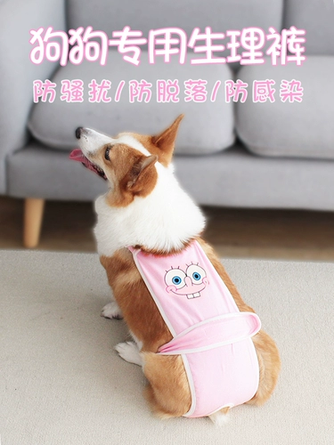 Собачья физиологические штаны мать Corgi Dou Dou Dou Dog Dog