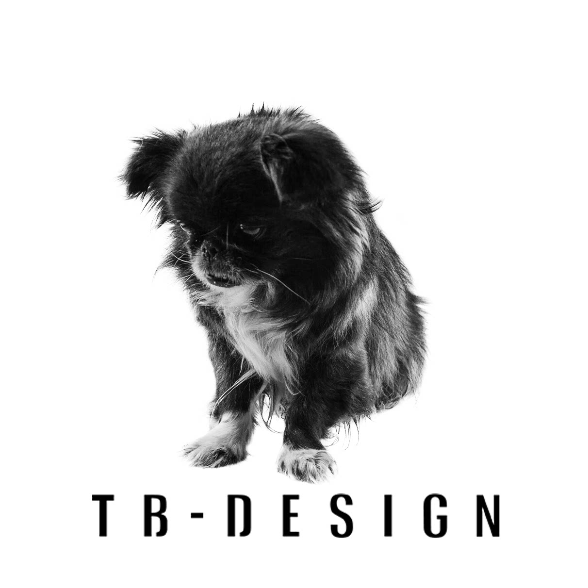 TB平面设计的LOGO