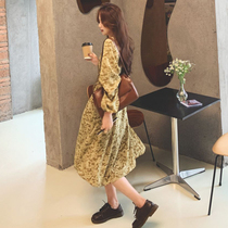 Autumn maternity dress long sleeve floral dress spring and autumn models 2021 New loose long thin tea break skirt