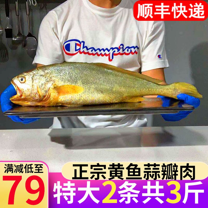 Large yellow croaker fresh frozen extra large Zhoushan seafood aquatic products fresh frozen East China Sea Ningde yellow croaker commercial wholesale