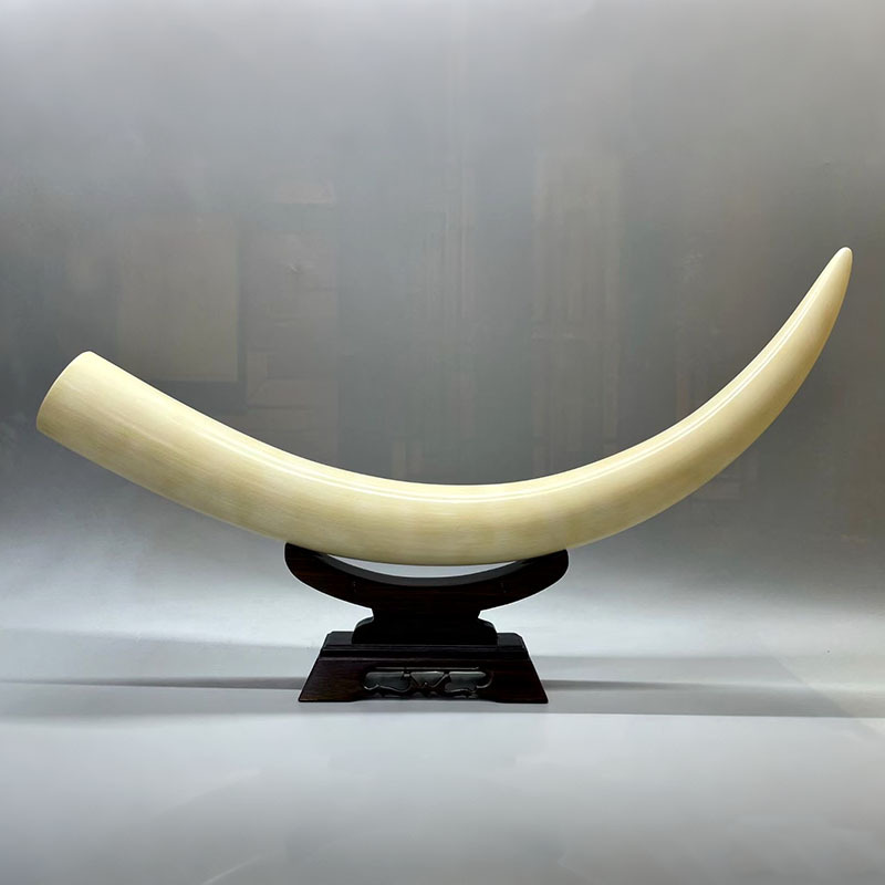 Natural Mammoth Ivory Tooth Tip Ornament with Full Pattern, Ice-Like Texture, Whole Tooth Carving, Single Piece for Home, Office, Gift, or Home Protection Natural Mammoth Ivory Tooth Tip Ornament with Full Pattern, Ice-Like Texture, Whole Tooth Carving, Single Piece for Home, Office, Gift, or Home Protection