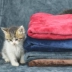 Pet chăn chó mèo phổ chăn teddy puppy lớn kennel mat cover chăn ngủ mat vật nuôi chăn bông mùa đông pad - Cat / Dog hàng ngày Neccessities