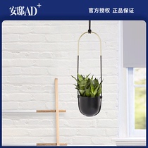 UMBRA Bolo multi-purpose flowerpot Nordic home wall decoration flower rack Plant wall decoration 丨 Andi AD 