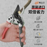 Япония импортируемые ветви -вырезание артефакта дерева Техника ремонта деревьев.