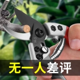 Япония импортируемые ветви -вырезание артефакта дерева Техника ремонта деревьев.