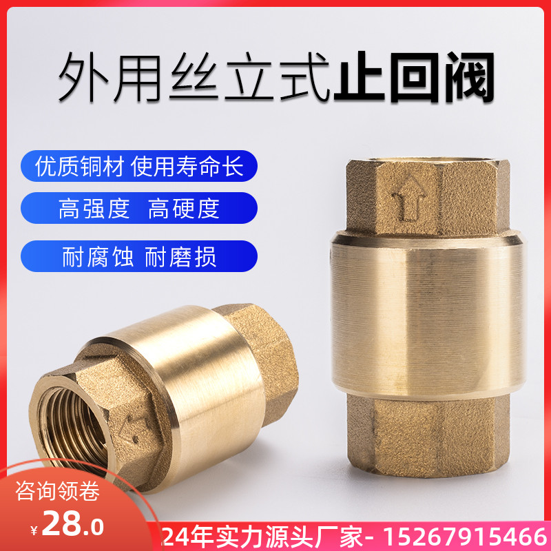 Canon electric heating steam generator check valve 4-6 points 1 inch water pump water meter water pipe spring valve full copper energy