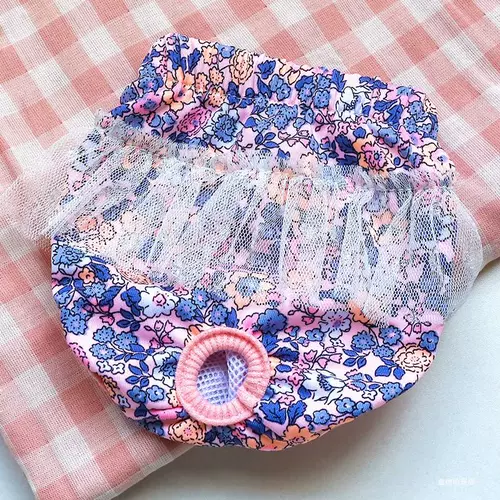 Он в безопасности и санитарные менструальные брюки Физиологические штаны Бирги беременны под брюками ПЭТ собака Тедди Баргер.