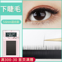 0 1 Rough lower eyelashes grafted eyelashes single root mixed type false eyelashes natural beauty crest super soft mink hair