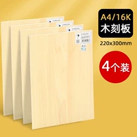 220x, 300mm
