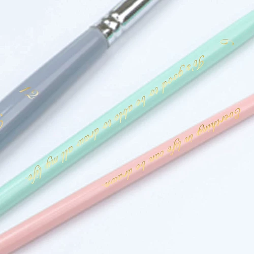 飞乐鸟 Акварель, художественный профессиональный комплект, пигментированная кисть для письма с животными, лайнер, подходит для начинающих