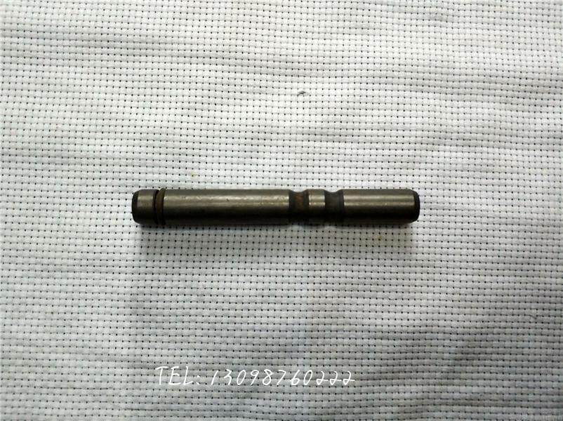 Bayama Longxin Lion Run Runway Etemei Longxin Lion Run Runway Etemei New Construction The more