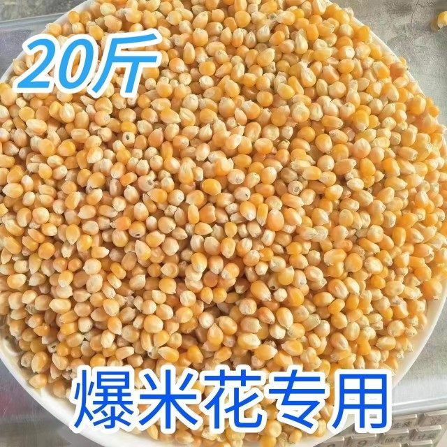 20 pounds of spherical popcorn burst corn popcorn for commercial corn - house raw materials