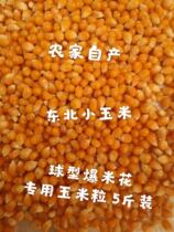 5 Jin new spherical popcorn small corn burst corn household Popcorn special small Corn Corn Corn Corn raw material