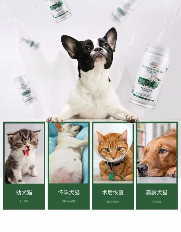 Mới yêu thích Kang Yang sữa bột 400g chó con chó con sơ sinh chó con thú cưng sản phẩm dinh dưỡng đặc biệt sơ sinh mèo con nói chung - Cat / Dog Health bổ sung sữa cho mèo con