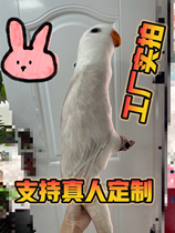 Chou Chou Chou Chou Chou Chou Chou Chou Chou Chou Chou Chou Chou Chou Chou Chou ugly special shaped pillow custom pet dog cat diy photos