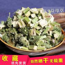 Wild motherwort fresh dried soaked in water to drink brown sugar ginger tea to urge the menstruation of qi and blood conditioning Aunt soak feet flower tea