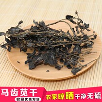 Purslane wild edible purslane tea farmhouse specialty fresh wild vegetable steamed buns 500g