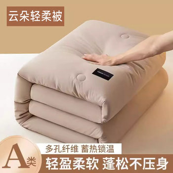 Quilt for All Seasons, Soybean Quilt, Cotton Quilt Core, Spring and Autumn Quilt, Winter Quilt, Thickened and Warm, Single Dormitory Student Autumn and Winter Quilt