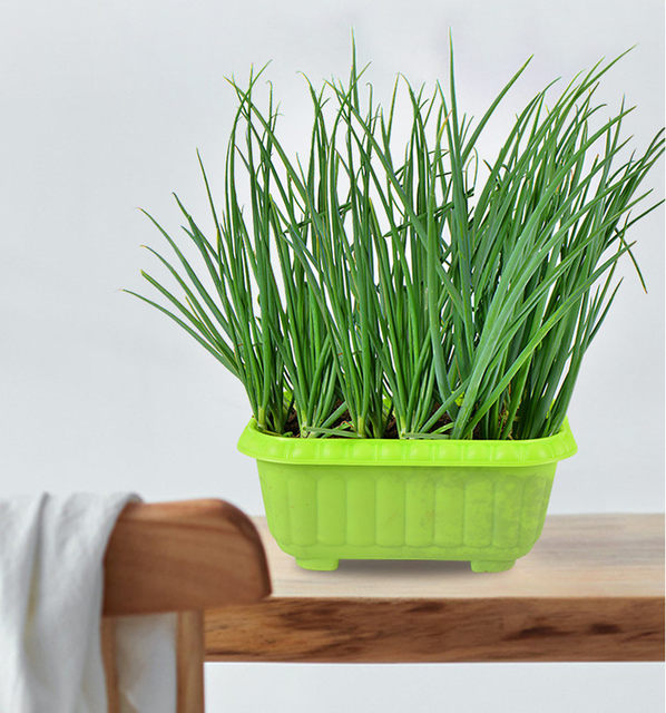 Balcony vegetable pots and flower pots for rooftop vegetables