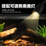 2025 новый резервуар для ручьев, южноамериканский аквариум, ультра-белый стеклянный боковой фильтр, небольшая гостиная, экологический ландшафтный дизайн, полный комплект «все в одном»