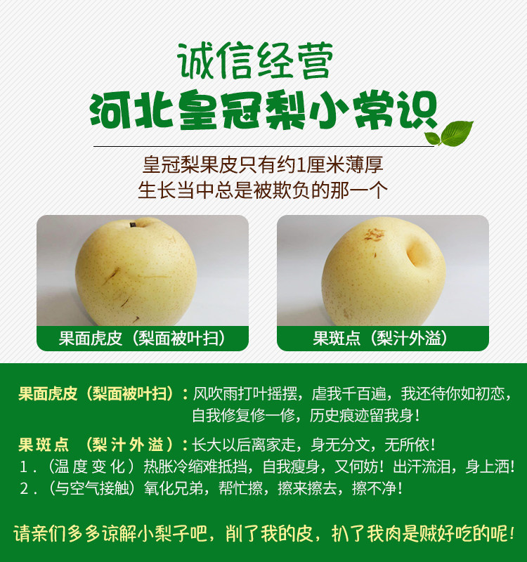 乾和 河北皇冠梨 净重5斤 单果250-450g 图2