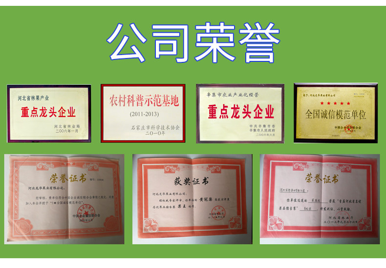 乾和 河北皇冠梨 净重5斤 单果250-450g 图5