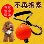 Chó đồ chơi cắn vật nuôi cao su bóng bouncy đào tạo cung cấp chó lớn và trung bình với dây thừng răng mèo hài hước - Mèo / Chó Đồ chơi