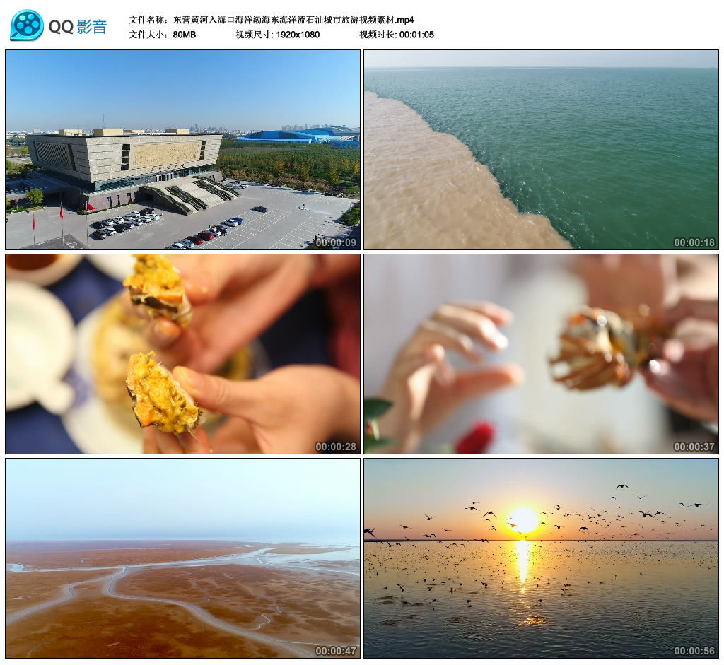East Camp Yellow River into Haikou Ocean Bohai Bohai Sea East China Sea Stream Oil City Tourism Video material-Taobao