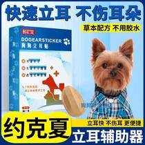 Yorkshire special dog ear erecting device puppy puppy auxiliary ear clip ear erecting stickers to correct erect ears artifact