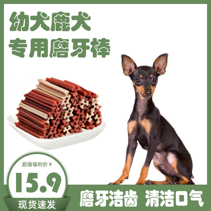 Small deer canine grinders puppies for two or three months small milk dogs with clean teeth for toothless dog with low carb snacks