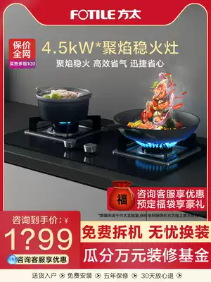 Fangtai TH31B gas stove gas stove double mouth gas stove household gas stove stove stove inlay stove recessed stove