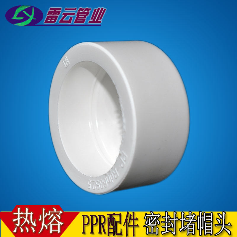Thickened water pipe cap PPR blocking plug hot-melt pipe fittings 4 minutes 20 seal welding 6 minutes 25 block 1 inch 32 seal 63 cover