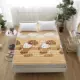 Nệm Flannel Bốn Mùa Nệm Sinh viên Kí túc xá Đơn Giường ngủ Futon 1,5m Tatami 1,8m Gấp Ấm - Nệm