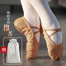Chinese Ballet Adult Dance Shoes and Female Soft Soft Soft Soft Software Dance Dance Boy Summer and Young Child Cat Claw